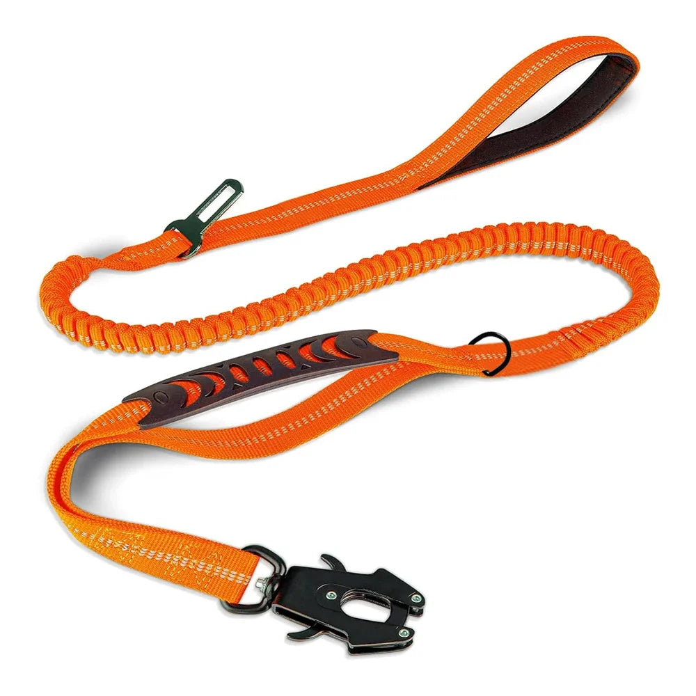 Heavy Duty Dog Leash