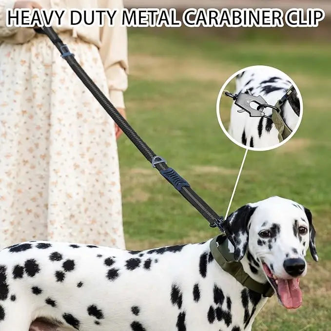 Heavy Duty Dog Leash