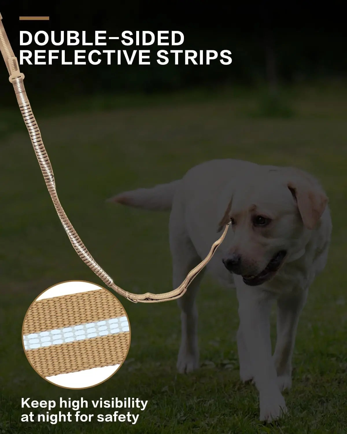 Heavy Duty Dog Leash