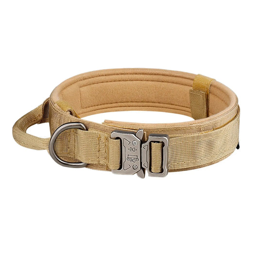 Heavy Duty Dog Collar